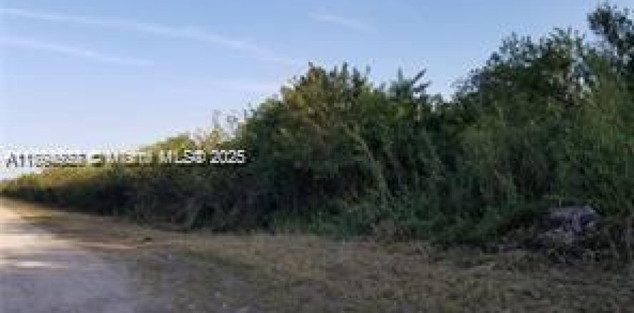 Immobilier commercial à Miami-Dade, Floride № 1947706