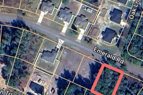 Land in Ocala, Florida № 2162092 - photo 2