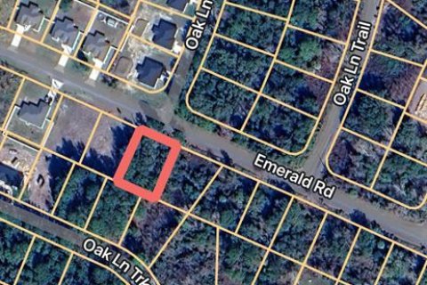 Land in Ocala, Florida № 2162092 - photo 5