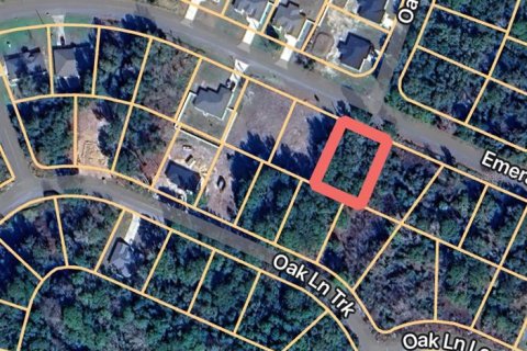 Land in Ocala, Florida № 2162092 - photo 4