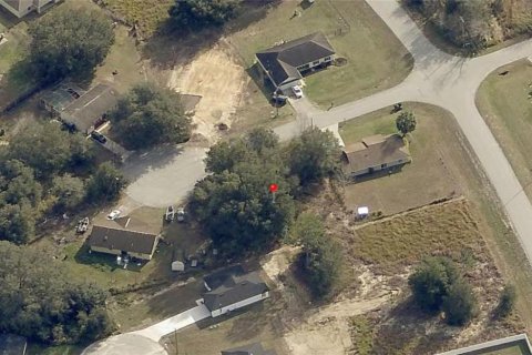 Land in Ocala, Florida № 2165626 - photo 2