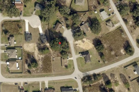 Land in Ocala, Florida № 2165626 - photo 3