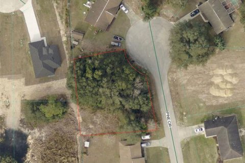Land in Ocala, Florida № 2165626