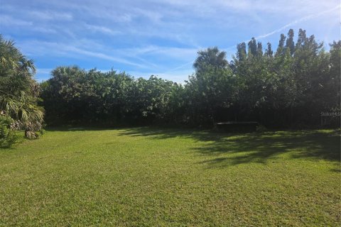 Terrain à Punta Gorda, Floride № 2130862