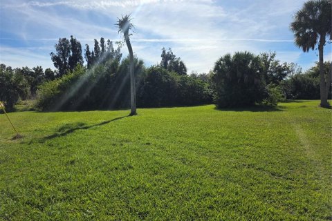 Land in Punta Gorda, Florida № 2130862 - photo 5