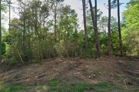 Land in Citrus Springs, Florida № 2239429