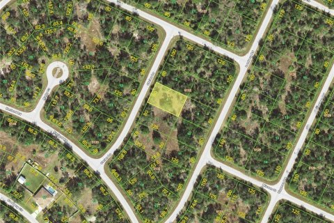 Land in Port Charlotte, Florida № 2258672 - photo 2