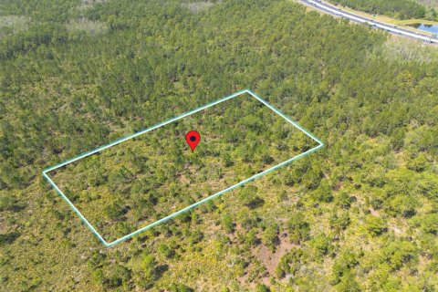 Land in Orlando, Florida № 1578287 - photo 5