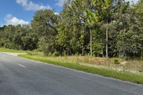 Terreno en venta en Beverly Hills, Florida № 1838776 - foto 1