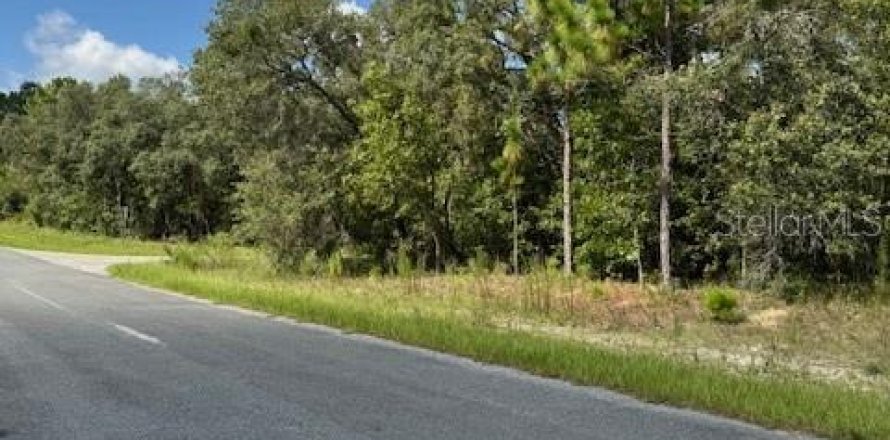 Land in Beverly Hills, Florida № 1838776