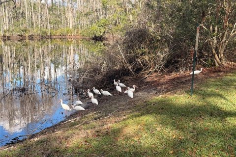 Copropriété à vendre à New Port Richey, Floride: 2 chambres, 93.65 m2 № 2236070 - photo 26