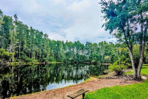 Condo in New Port Richey, Florida, 2 bedrooms № 2236070