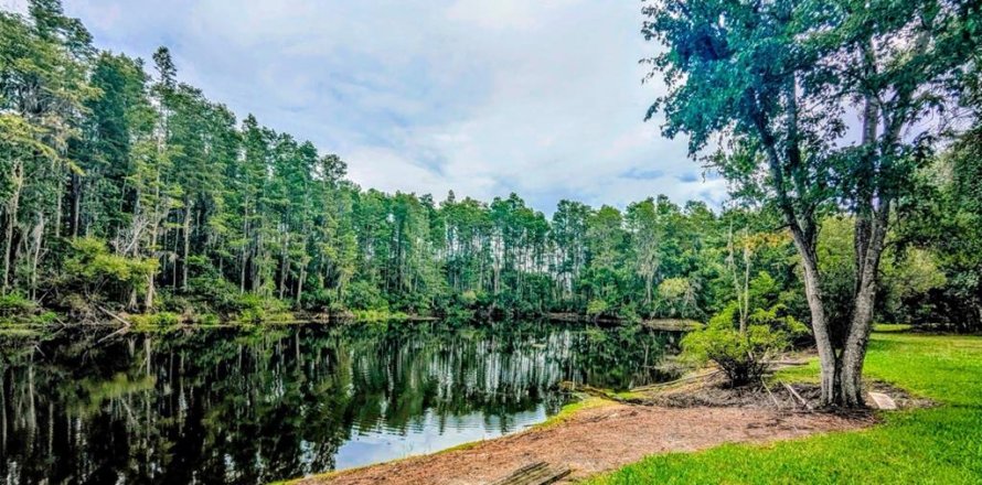 Condo à New Port Richey, Floride, 2 chambres  № 2236070