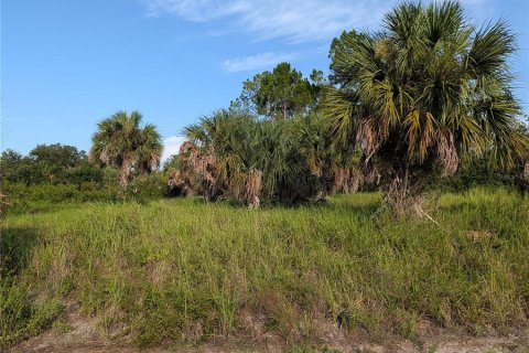 Terrain à vendre à North Port, Floride № 2209896 - photo 3