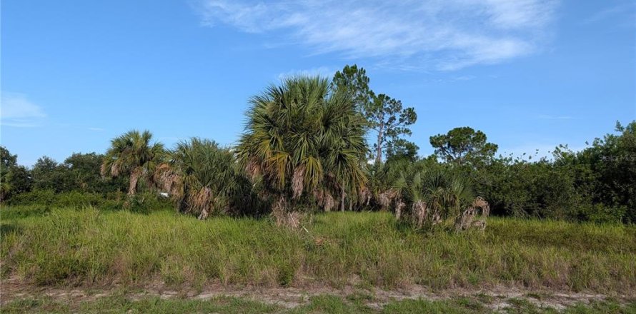 Terrain à North Port, Floride № 2209896