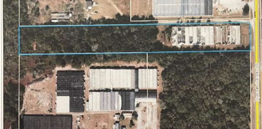 Terrain à Apopka, Floride № 2212570