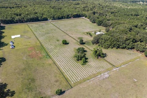 Land in High Springs, Florida № 1751434 - photo 10