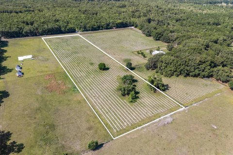 Land in High Springs, Florida № 1751434 - photo 9