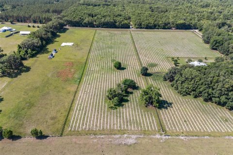Land in High Springs, Florida № 1751434 - photo 8