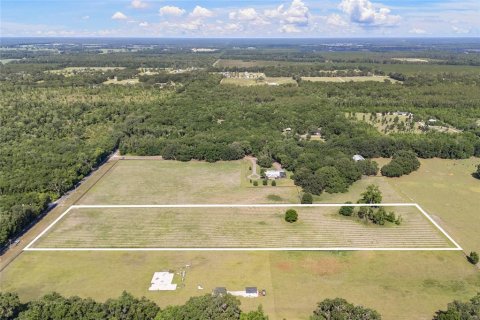 Land in High Springs, Florida № 1751434 - photo 11