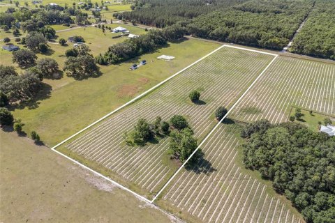 Land in High Springs, Florida № 1751434 - photo 5