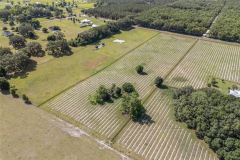 Land in High Springs, Florida № 1751434 - photo 6