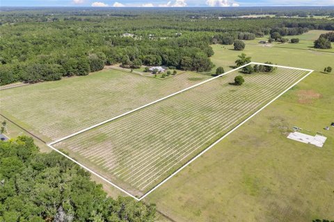 Land in High Springs, Florida № 1751434 - photo 1