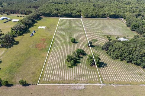 Land in High Springs, Florida № 1751434 - photo 7