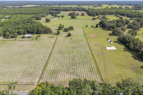 Land in High Springs, Florida № 1751434 - photo 3