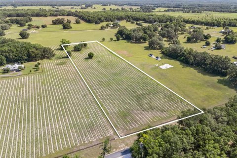 Land in High Springs, Florida № 1751434 - photo 4