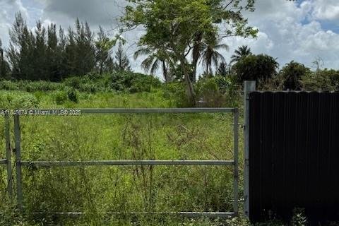 Commercial property in Miami-Dade, Florida № 1940630 - photo 4