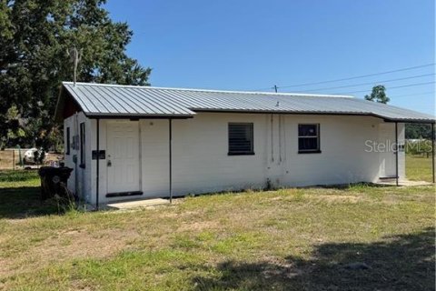 Appartement à louer à Frostproof, Floride: 1 chambre, 40.88 m2 № 2411657 - photo 3