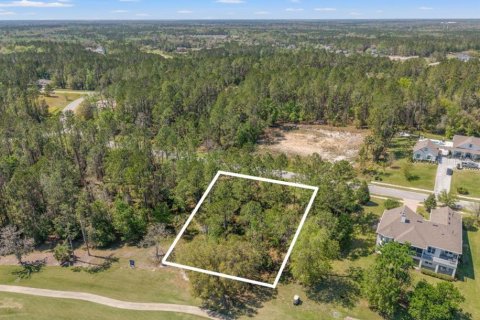 Land in Brooksville, Florida № 1658189 - photo 5