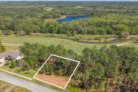 Land in Brooksville, Florida № 1658189 - photo 3