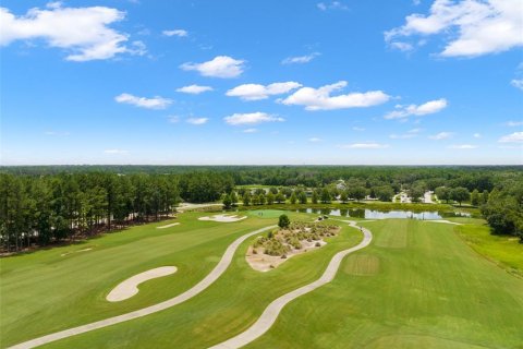 Land in Brooksville, Florida № 1658189 - photo 12