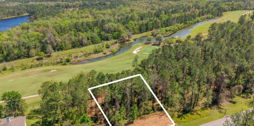 Land in Brooksville, Florida № 1658189