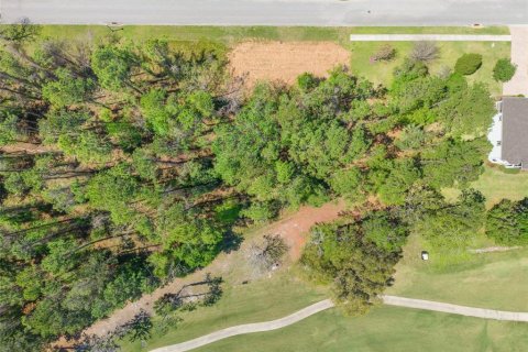 Land in Brooksville, Florida № 1658189 - photo 7