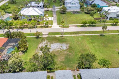 Terrain à vendre à Punta Gorda, Floride № 1781241 - photo 7
