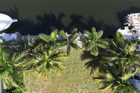 Купить земельный участок в Лайтхаус-Пойнт, Флорида № 1952308 - фото 6