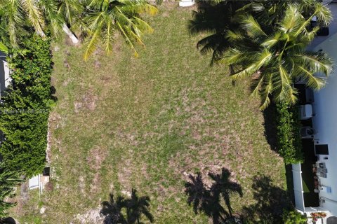 Купить земельный участок в Лайтхаус-Пойнт, Флорида № 1952308 - фото 5