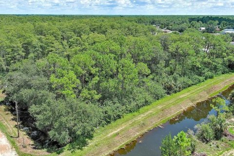 Land in Lehigh Acres, Florida № 2104119 - photo 9