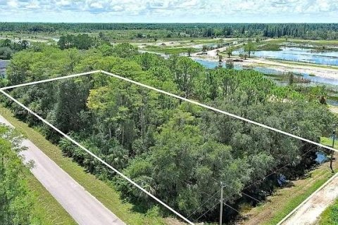 Land in Lehigh Acres, Florida № 2104119 - photo 10