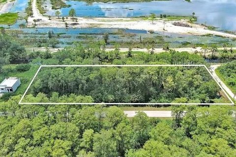 Land in Lehigh Acres, Florida № 2104119 - photo 5