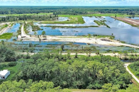 Land in Lehigh Acres, Florida № 2104119 - photo 11