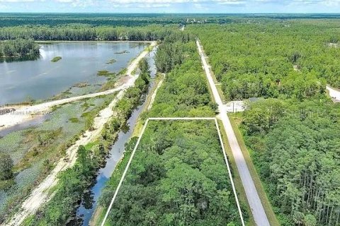 Land in Lehigh Acres, Florida № 2104119 - photo 12