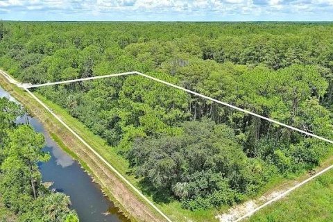 Land in Lehigh Acres, Florida № 2104119 - photo 8