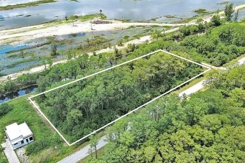Land in Lehigh Acres, Florida № 2104119 - photo 3