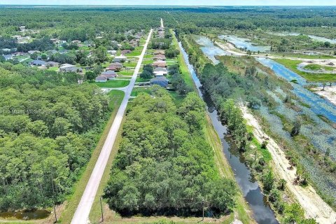 Land in Lehigh Acres, Florida № 2104119 - photo 7