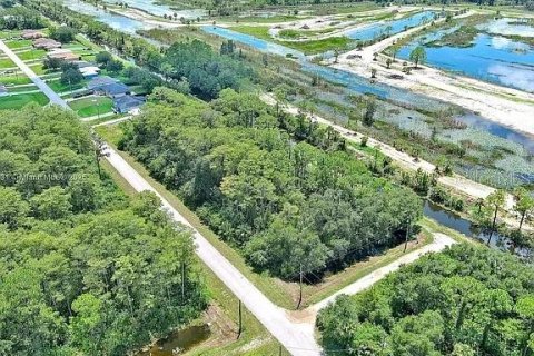 Land in Lehigh Acres, Florida № 2104119 - photo 15