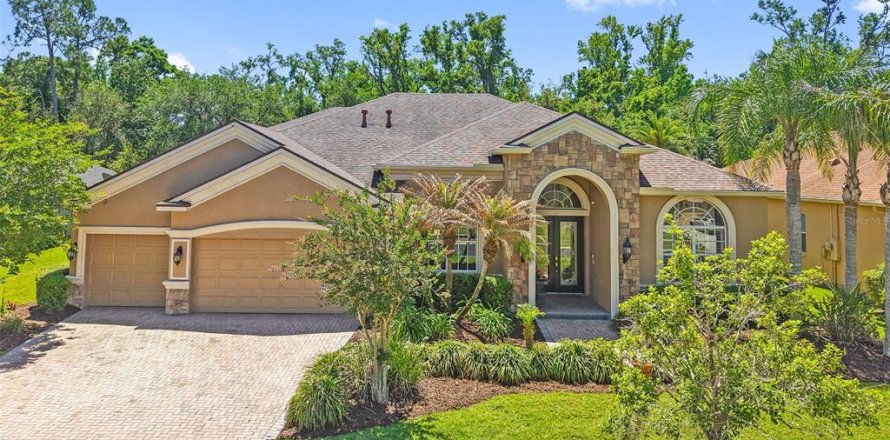 House in Wesley Chapel, Florida 5 bedrooms, 361.48 sq.m. № 2115265